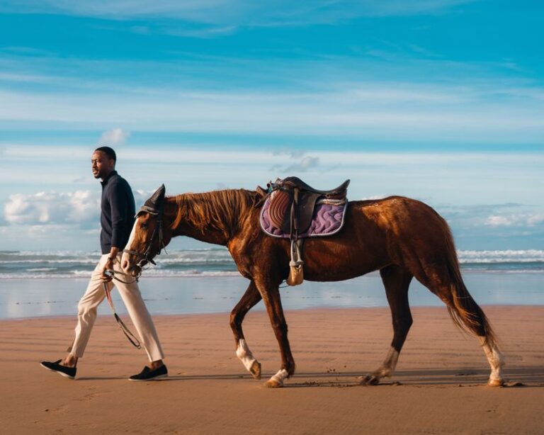 XuanTian fashion news about Bugatti's New One-Off Destrier